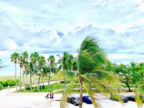 BROADMORE MIAMI BEACH image 11